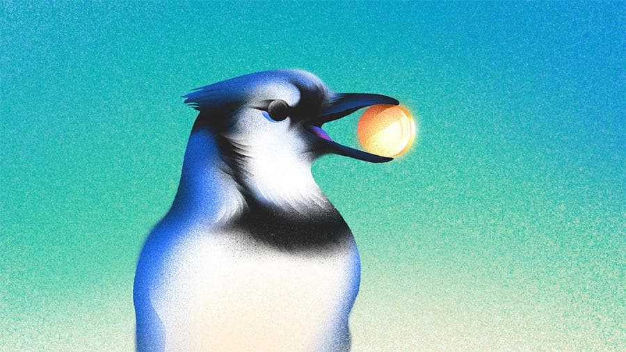 Seed Funding Is Bigger Than Ever — And Harder To Get